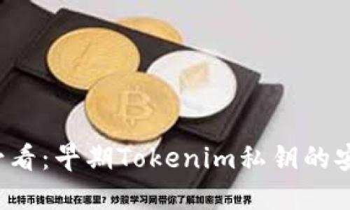 立即了解2025必看：早期Tokenim私钥的安全性与管理技巧