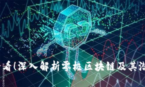 2025必看！深入解析零极区块链及其潜在影响
