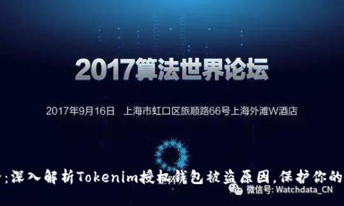 2025必看：深入解析Tokenim授权钱包被盗原因，保护你的数字资产！