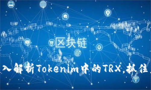 2025必看：深入解析Tokenim中的TRX，抓住未来投资机会