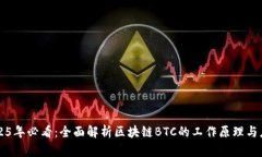 2025年必看：全面解析区块链BTC的工作原理与应用