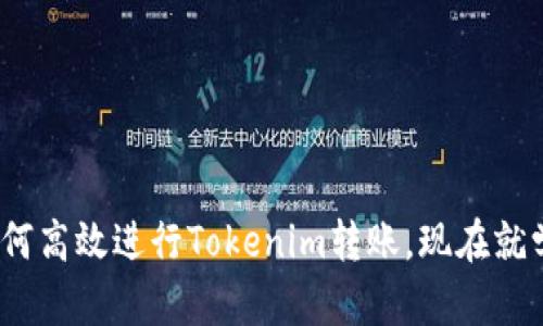 2025必看：如何高效进行Tokenim转账，现在就学会高级技巧!