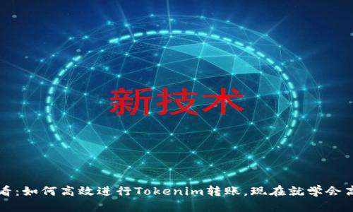 2025必看：如何高效进行Tokenim转账，现在就学会高级技巧!