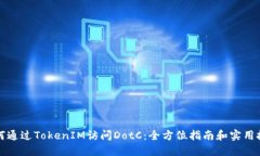如何通过TokenIM访问DotC：全方位指南和实用技巧