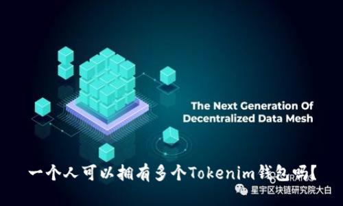 一个人可以拥有多个Tokenim钱包吗？