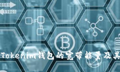 深入探讨Tokenim钱包的宽带能量及其应用前景