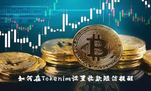 如何在Tokenim设置收款短信提醒