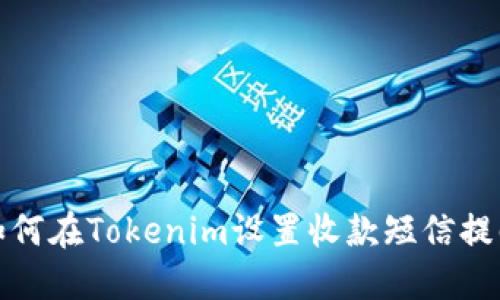 如何在Tokenim设置收款短信提醒