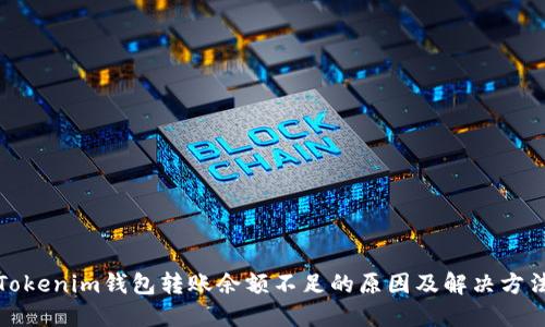 Tokenim钱包转账余额不足的原因及解决方法