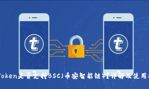 ImToken是否支持BSC（币安智能链）？详解及使用指南
