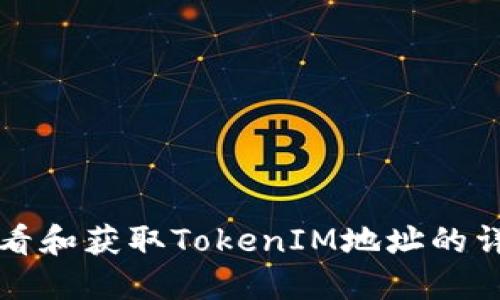 如何查看和获取TokenIM地址的详细指南