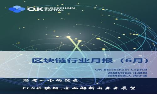 思考一个的优质

FLS区块链：全面解析与未来展望