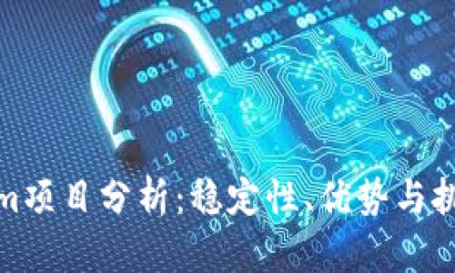 Tokenim项目分析：稳定性、优势与挑战探讨