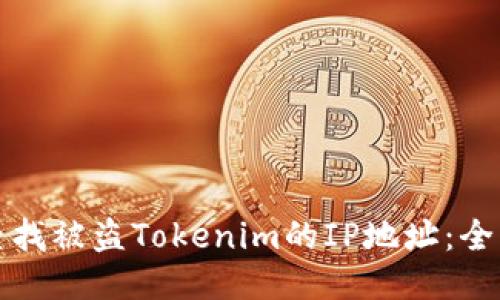 如何查找被盗Tokenim的IP地址：全面指南