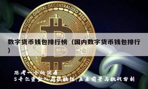 思考一个的优质  
5千亿资金入局区块链：未来前景与挑战分析