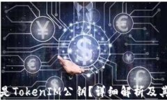 什么是TokenIM公钥？详细解析及其应用