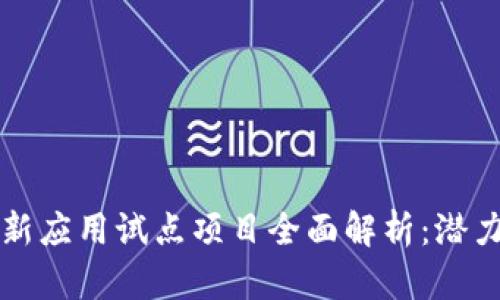 区块链新应用试点项目全面解析：潜力与挑战