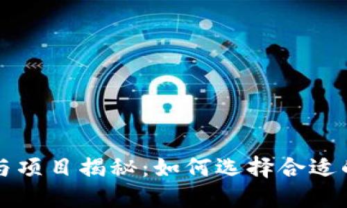 区块链开发任务与项目揭秘：如何选择合适的区块链解决方案