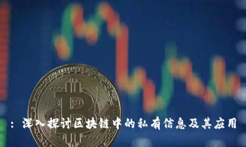 : 深入探讨区块链中的私有信息及其应用